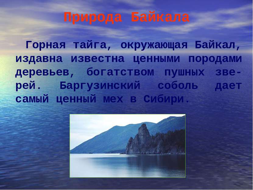 Природа Байкала Горная тайга, окружающая Байкал, издавна известна ценными пор...