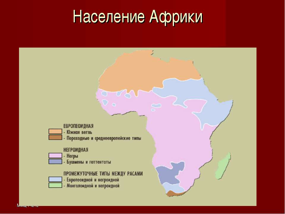 Численность народов африки
