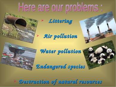 Littering Air pollution Water pollution Endangered species Destruction of nat...