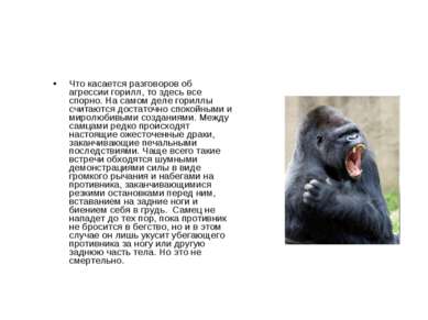 Что касается разговоров об агрессии горилл, то здесь все спорно. На самом дел...