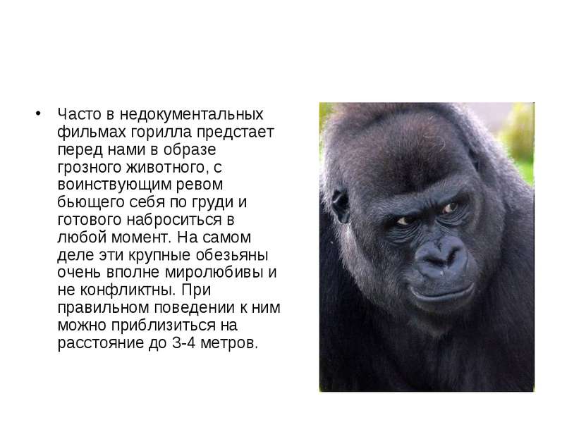 Часто в недокументальных фильмах горилла предстает перед нами в образе грозно...