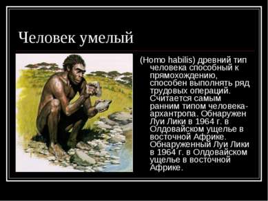 Человек умелый (Homo habilis) древний тип человека способный к прямохождению,...