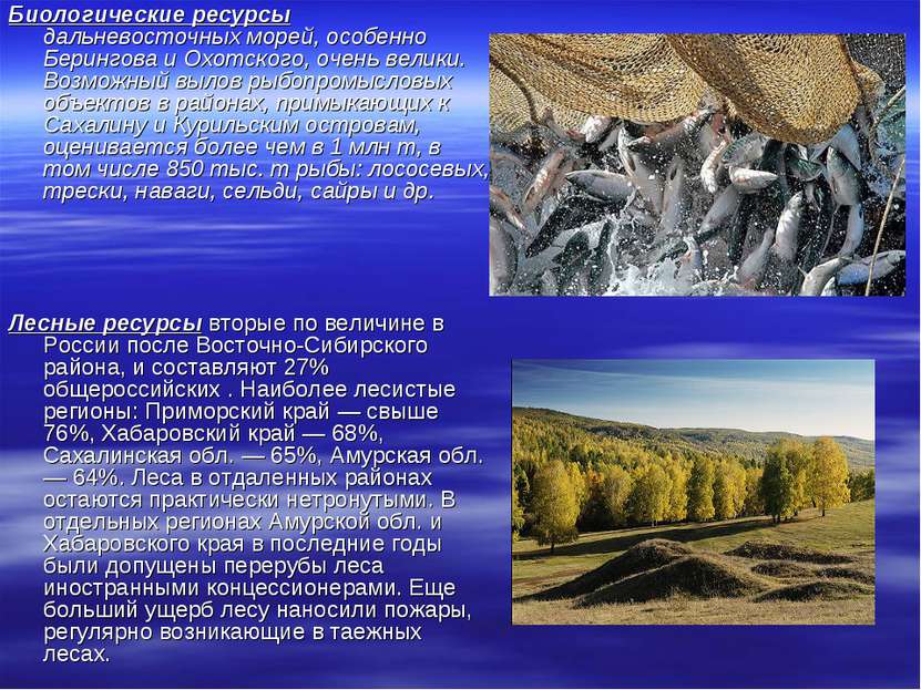 Биологические ресурсы дальневосточных морей, особенно Берингова и Охотского, ...