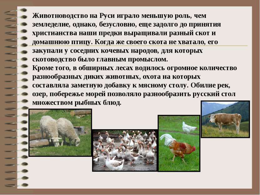 Животноводство на Руси играло меньшую роль, чем земледелие, однако, безусловн...
