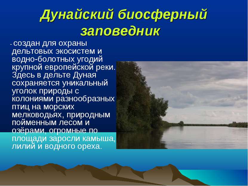 Дунайский биосферный заповедник  - создан для охраны дельтовых экосистем и во...