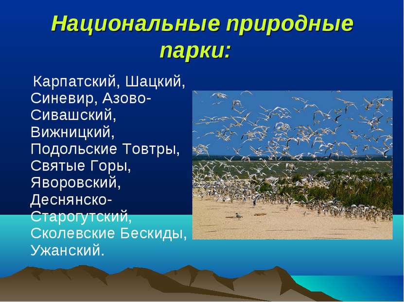 Национальные природные парки:  Карпатский, Шацкий, Синевир, Азово-Сивашский, ...