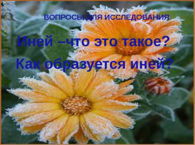 ВОПРОСЫ ДЛЯ ИССЛЕДОВАНИЯ Иней –что это такое? Как образуется иней?