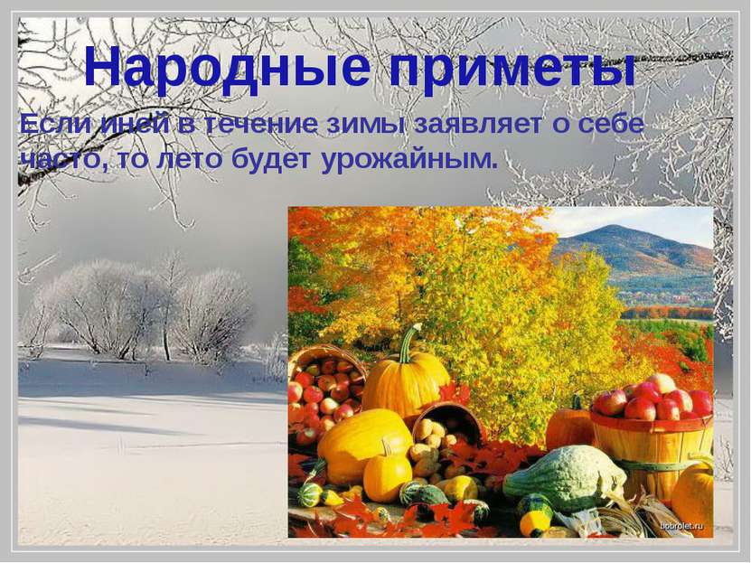 Если иней в течение зимы заявляет о себе часто, то лето будет урожайным. Наро...