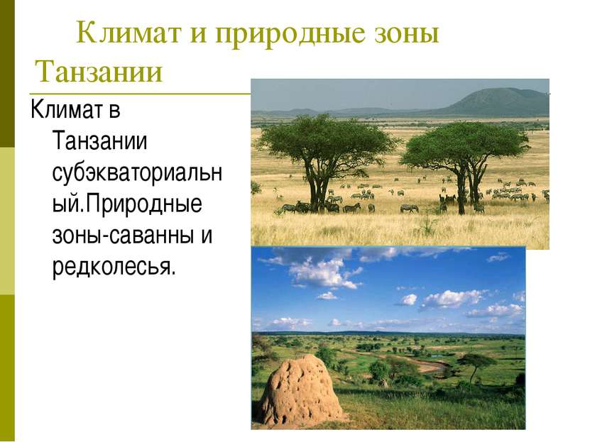 Климат и природные зоны Танзании Климат в Танзании субэкваториальный.Природны...