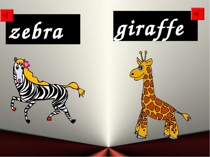 zebra giraffe