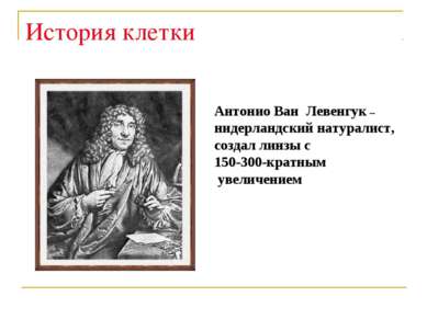 История клетки Антонио Ван Левенгук – нидерландский натуралист, создал линзы ...