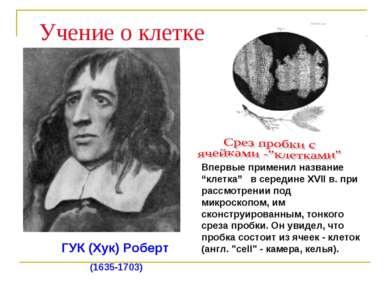 ГУК (Хук) Роберт (1635-1703) Учение о клетке