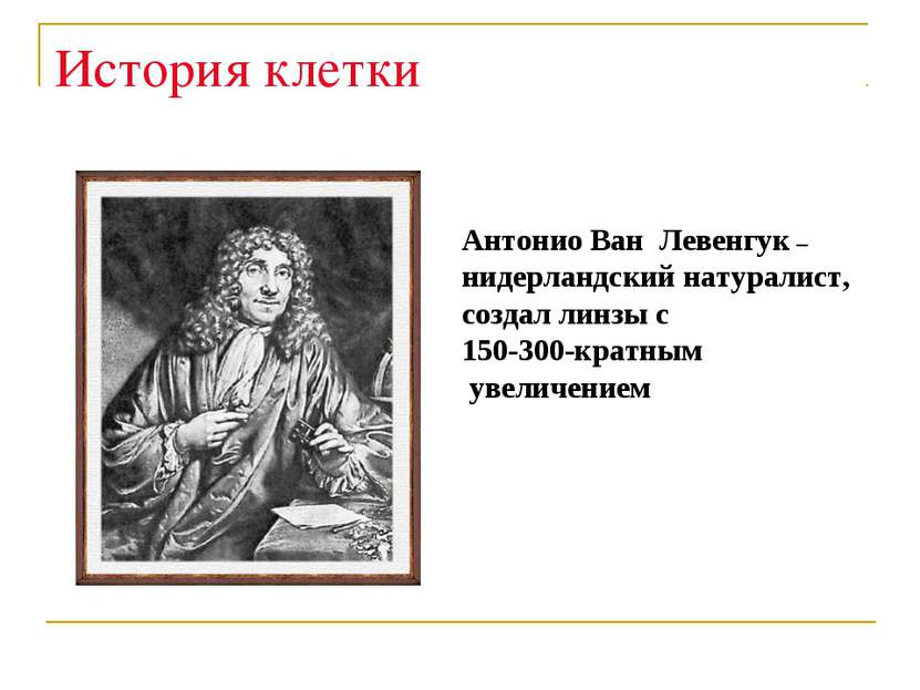 История клетки Антонио Ван Левенгук – нидерландский натуралист, создал линзы ...