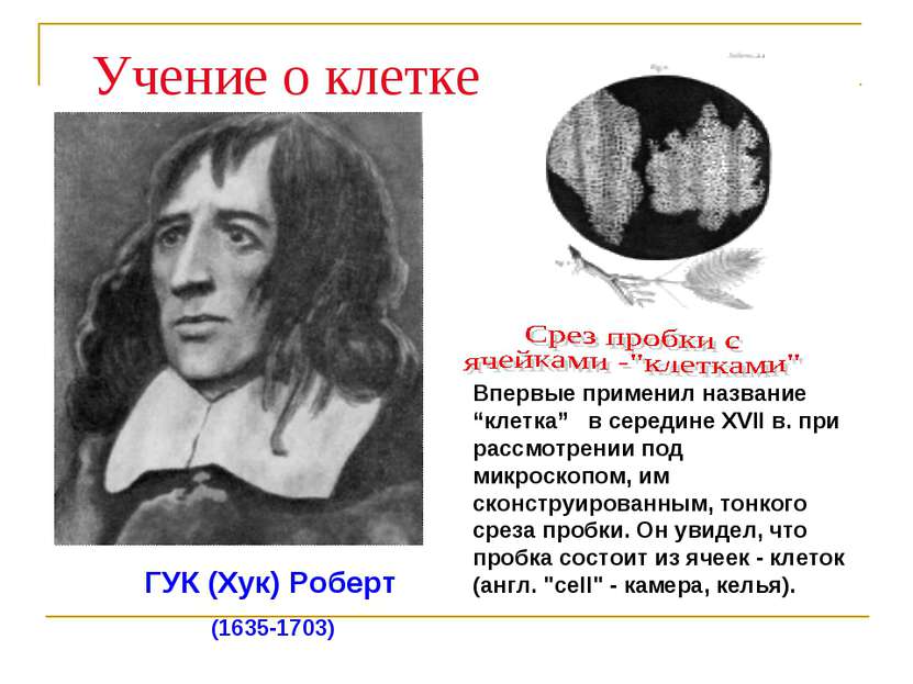 ГУК (Хук) Роберт (1635-1703) Учение о клетке