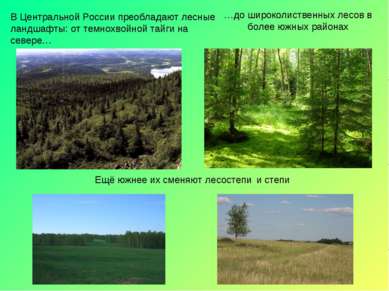 В Центральной России преобладают лесные ландшафты: от темнохвойной тайги на с...