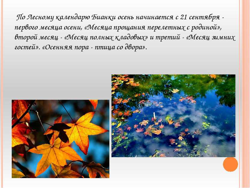 По Лесному календарю Бианки осень начинается с 21 сентября - первого месяца о...