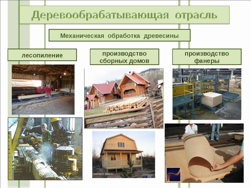 Механическая обработка древесины лесопиление производство сборных домов произ...