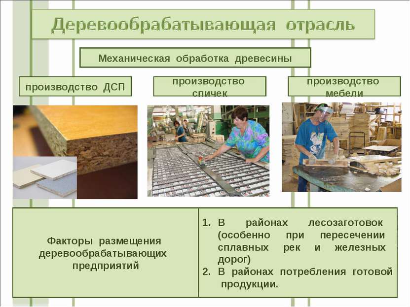 производство ДСП Механическая обработка древесины производство спичек произво...