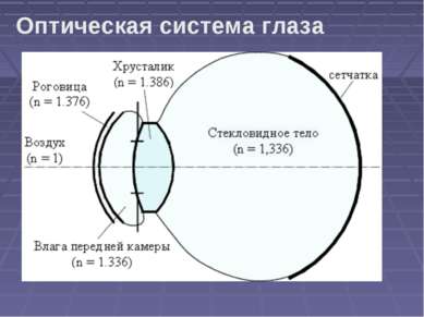 Оптическая система глаза