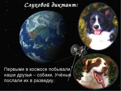 Слуховой диктант: Первыми в космосе побывали наши друзья – собаки. Учёные пос...