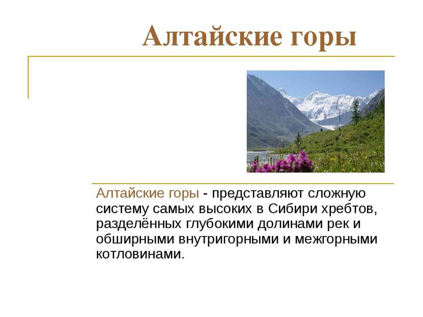 Алтайские горы Алтайские горы - представляют сложную систему самых высоких в ...