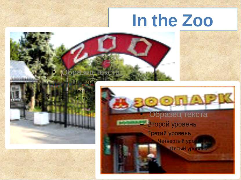 In the Zoo