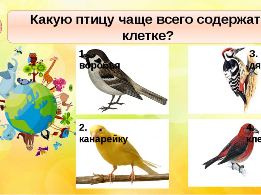 Какую птицу чаще всего содержат в клетке? А3 1. воробья З. дятла 4. клеста 2....