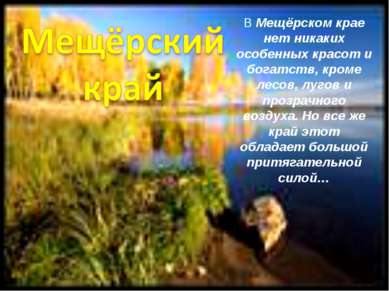 В Мещёрском крае нет никаких особенных красот и богатств, кроме лесов, лугов ...