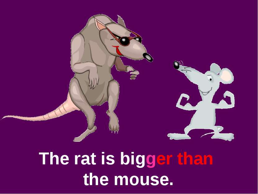 The rat is bigger than the mouse.
