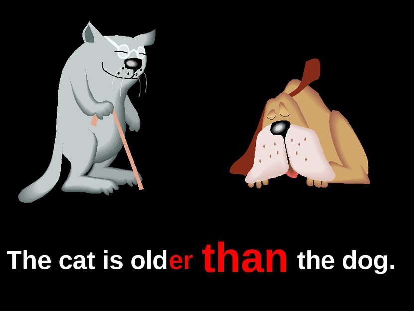 The cat is old the dog. er than