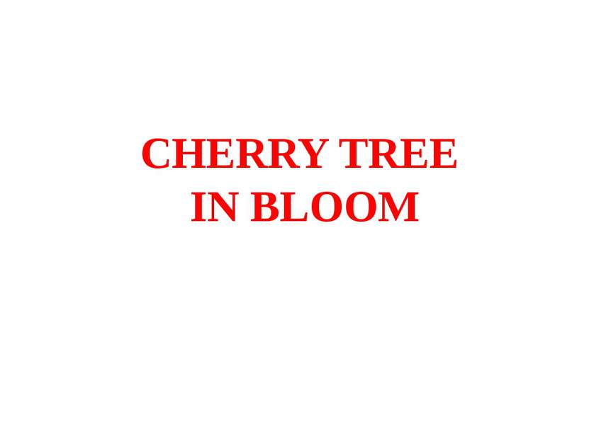 CHERRY TREE IN BLOOM