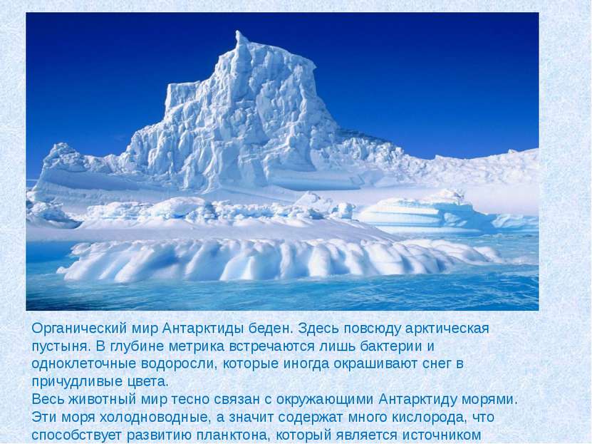 Органический мир Антарктиды беден. Здесь повсюду арктическая пустыня. В глуби...
