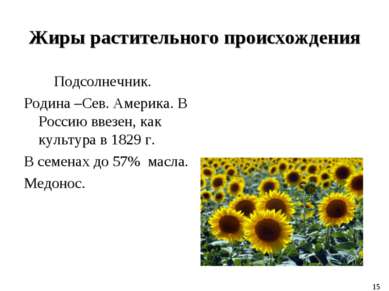 Жиры растительного происхождения Подсолнечник. Родина –Сев. Америка. В Россию...