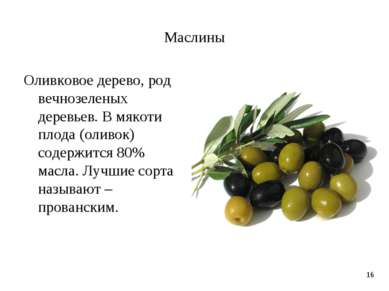 Маслины Оливковое дерево, род вечнозеленых деревьев. В мякоти плода (оливок) ...