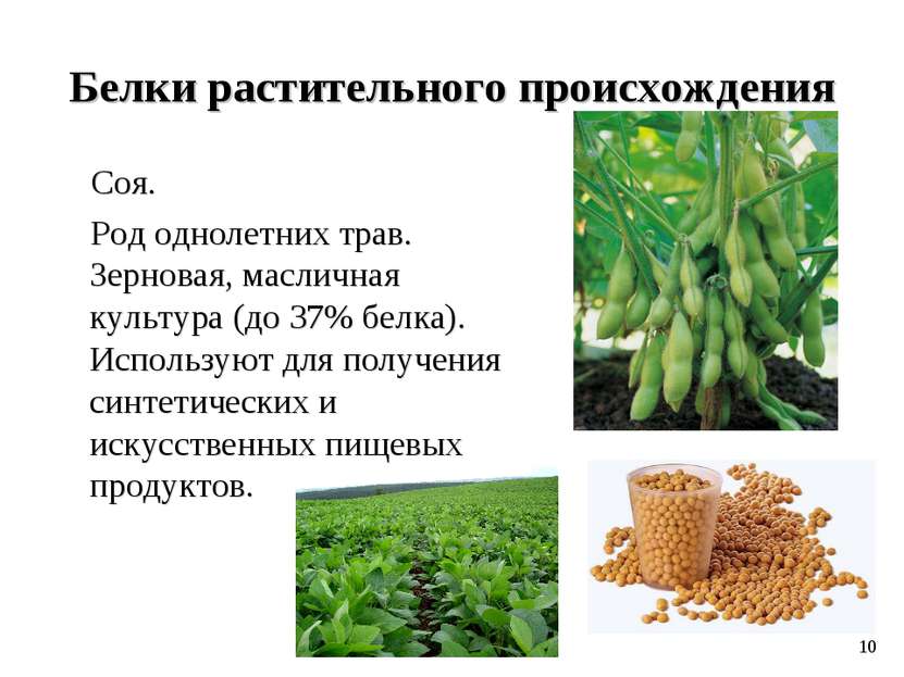 Белки растительного происхождения Соя. Род однолетних трав. Зерновая, масличн...