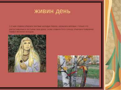 живин день 1-2 мая славяне убирали лентами молодую березу, украшали ветками с...