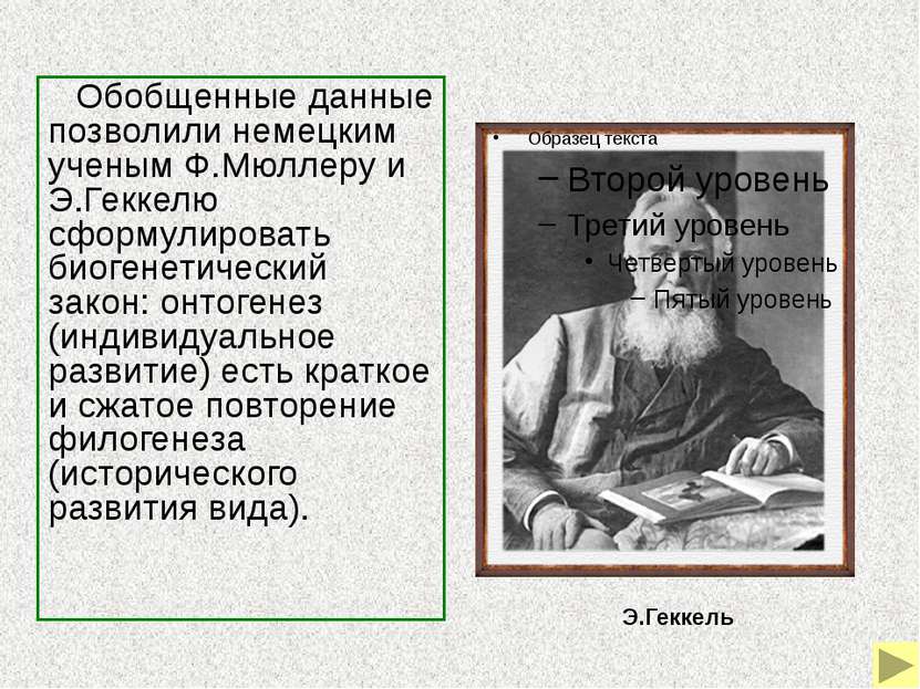 Биогенетический закон был развит и уточнен российским ученым А.Н.Северцовым, ...