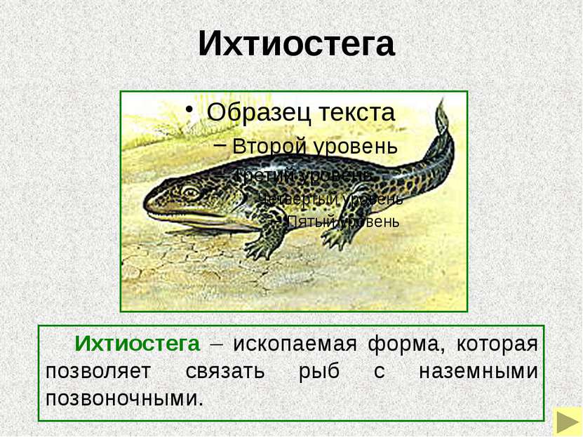 Археоптерикс (первоптица) Археоптерикс – переходная форма от рептилий к птица...