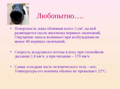 Любопытно…. Поверхность зоны обоняния всего 5 см², на ней размещается около м...