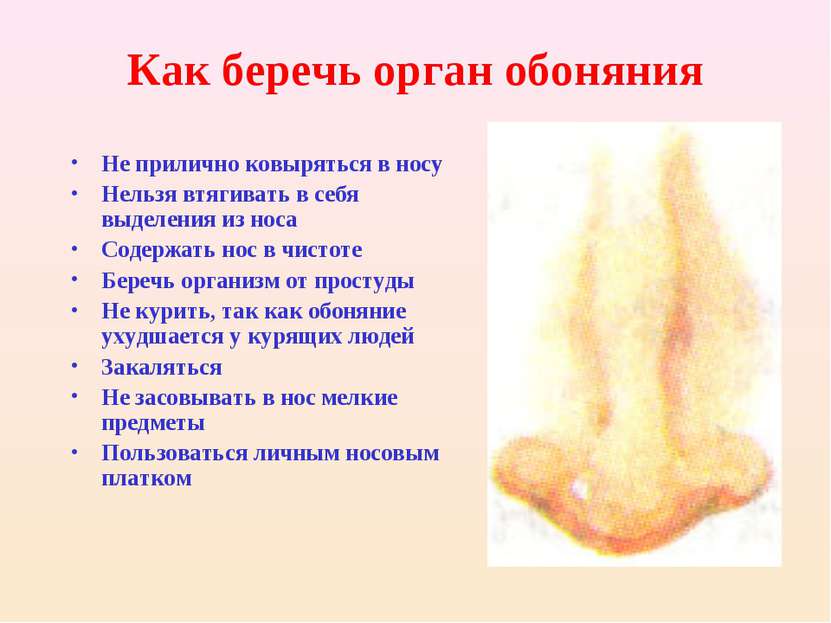 Как беречь орган обоняния Не прилично ковыряться в носу Нельзя втягивать в се...