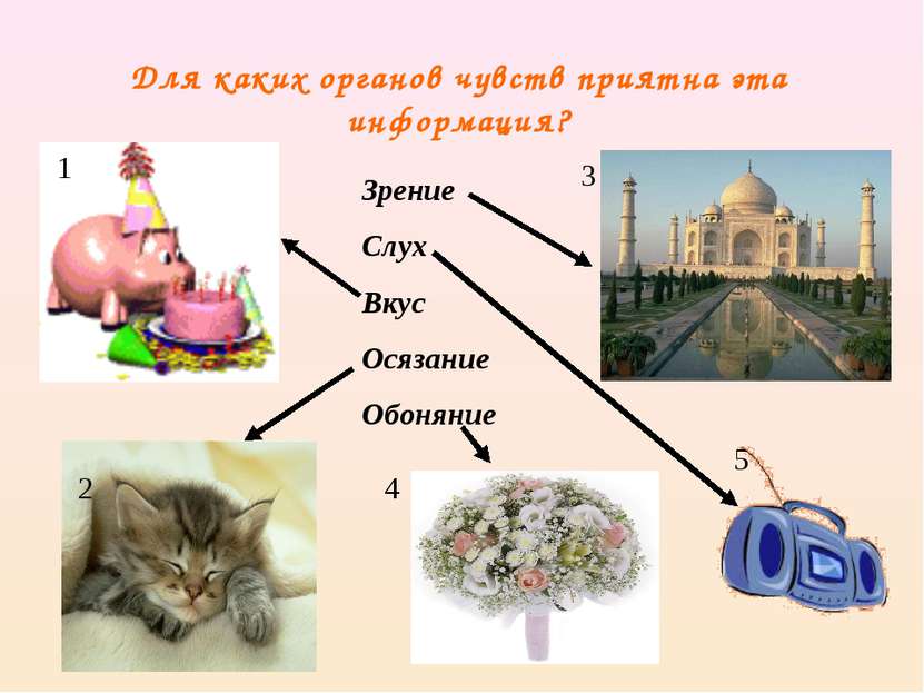 Для каких органов чувств приятна эта информация? 1 2 3 4 5 Зрение Слух Вкус О...