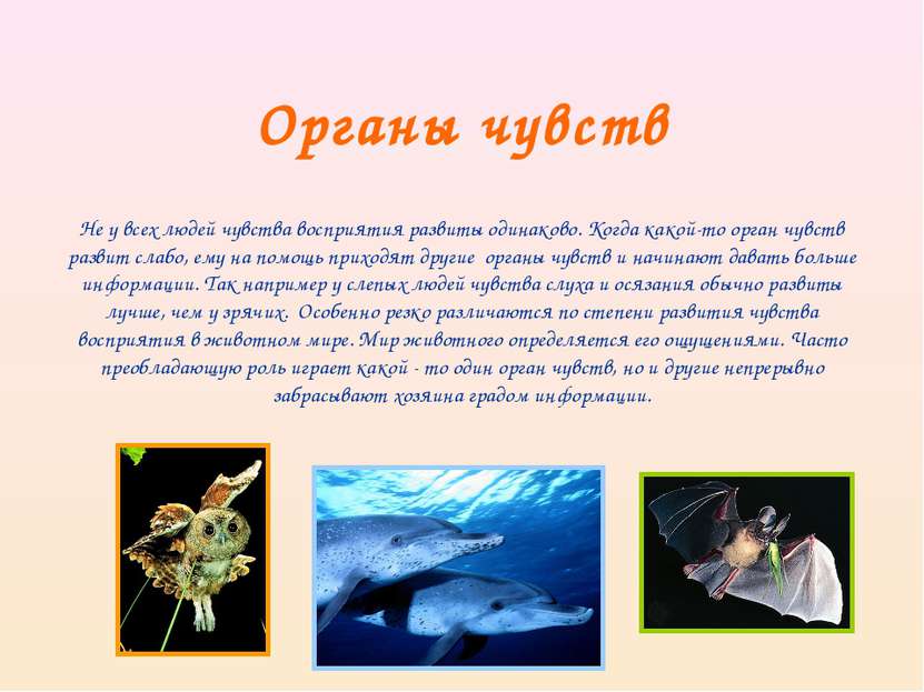 Органы чувств Не у всех людей чувства восприятия развиты одинаково. Когда как...