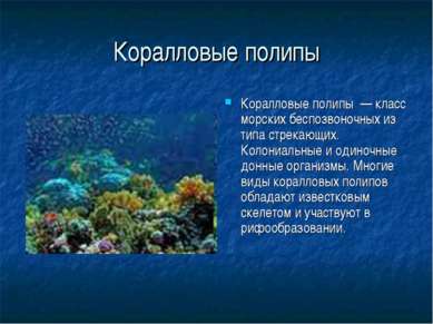 Коралловые полипы Коралловые полипы — класс морских беспозвоночных из типа ст...