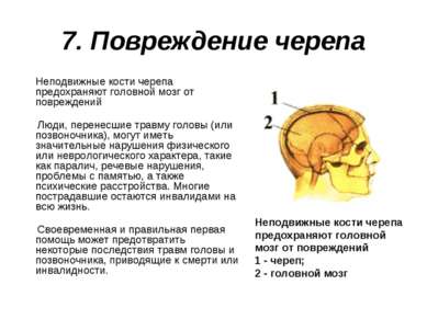 7. Повреждение черепа Неподвижные кости черепа предохраняют головной мозг от ...