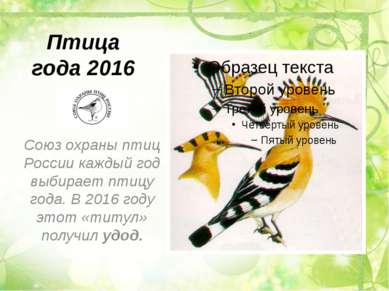 Птица года 2016 Союз охраны птиц России каждый год выбирает птицу года. В 201...