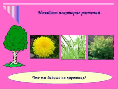 Называет некоторые растения Что ты видишь на картинке?