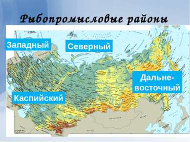 Рыбопромысловые районы Северный Западный Дальне- восточный Каспийский
