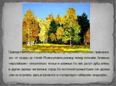 Природа Урала разнообразна, ведь цепь гор пересекает насколько природных зон ...