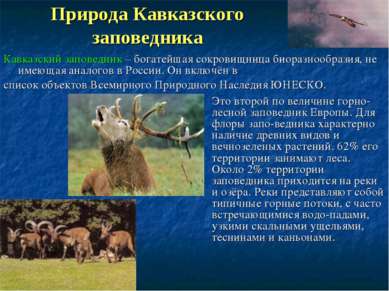 Природа Кавказского заповедника Это второй по величине горно-лесной заповедни...
