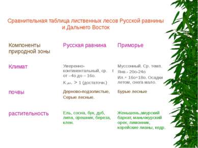 Сравнительная таблица лиственных лесов Русской равнины и Дальнего Восток Комп...
